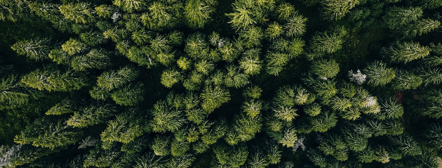 OUR 2022 AND 2023 PROGRESS